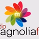 Logo de Radio Magnolia fm