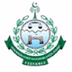 Radio Meezan FM logo