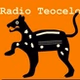 Radio Teocelo - XEYTM logo