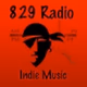 829 Radio - Indie logo