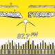 Radio Stereo 87 logo