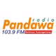 Radio Pandawa FM logo