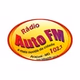 Rádio Auto FM 102.7 logo