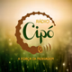 Logo de Radio Cipo
