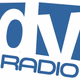 Logo de Deepvibes radio