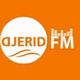 Djerid FM 99.9 logo