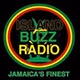 Island Buzz Radio logo
