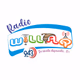 Logo de Radio Willaq