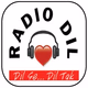 Logo de Radio Dil