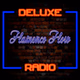 Deluxe Radio - Flamenco Flow logo