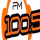 Radio Ricardone 100.5 logo