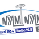 Logo de Nyami Nyami FM