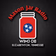 Logo de WIMJ-DB Mason Jar Radio