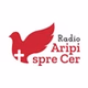 Radio Aripi Spre Cer - Popular logo
