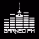 Barneo FM logo