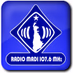 Logo de Radio Madi 107.6