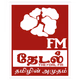 Logo de Theydal FM
