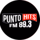 Logo de Punto Hits FM 89.3