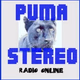 Logo de Puma Stereo