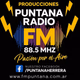 Logo de Puntana FM