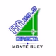 FM Directa logo