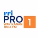 RRI - Pro 1 Way kanan logo