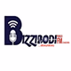 Bizzibodi 100.1 FM logo