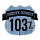 Logo de Positive Country 103.7 - WCZE