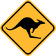 Logo de Kangaroo