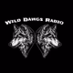 Logo de Region Radio - Wild Dawgs Radio