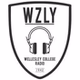 WZLY 91.5 FM - WZLY logo