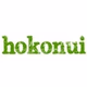 Hokonui Ashburton logo