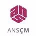 ANS ÇM 102 FM logo