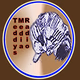 Logo de Teddy's Media Radio