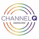 Channel Q - KNX-HD2 logo