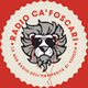 Radio Ca 'Foscari logo