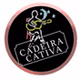 Rádio Web Cadeira Cativa logo