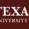 Logo de TAMU Parking Enforcement