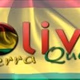 Logo de Bolivia Tierra Querida - Clásicos