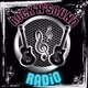 Logo de RocK-N-SounD Radio
