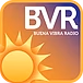 Logo de Buena Vibra Radio