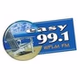 Easy 99.1 - WPLM logo