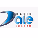 101.9 Dale FM logo