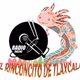 Logo de Radio Rinconcito de Tequexquitla