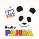 Logo de Panda NG