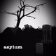 Asylum logo