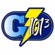G101.3 - WFMG logo