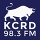 Bellowing Ox Radio - WPBO-LP logo