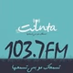 INTA FM 103.7 logo