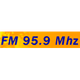 Logo de Radio Algérienne - Radio Aïn Témouchent